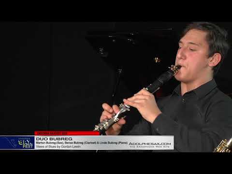 ANDORRA SAXFEST - Duo Bubreg - Views of Blues by Gordon Lewin