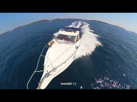Saver 21 Fisher