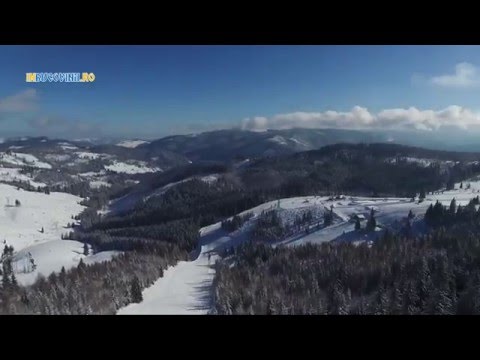 Partia  Mestecanis 2016