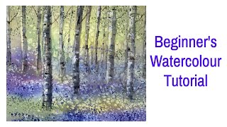 How To Paint Bluebells Woods &amp; Silver Birch Trees Landscape In Watercolour