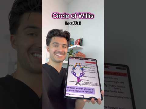 Draw the Circle of Willis in under 60s from my Neurology Guide 🧠📘#medstudent #medschool #anatomy