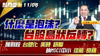 什麼是泡沫? 台股島狀反轉?獲利股 #台塑化 #美時 #訊聯 納MSCI中小 #佳能 #良維 《點石盛金》石富景