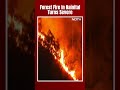 Nainital News | Massive Forest Fire Reaches Nainitals High Court Colony, Army Called In - Video