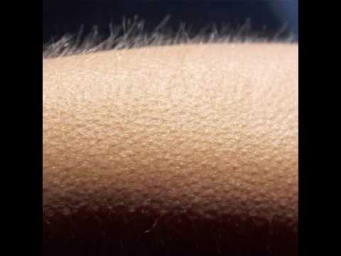 Travis Scott ft. Kendrick Lamar, NGHTMRE vs Loopers x Goja - Back To The Goosebumps (Deylast Mashup)