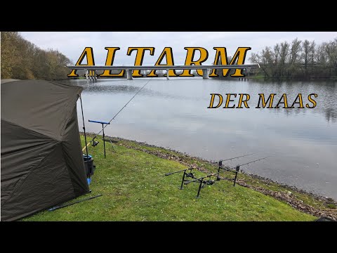 All-round fishing on the old arm of the Meuse