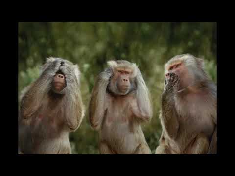 Sesion homenaje Remember Rockola Mislata