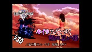 #30 【実況】心と光と闇の物語【キングダムハーツⅡ】