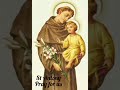 St Antony Feast ️ WhatsApp Status