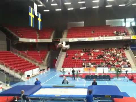 SM i trampolin 2010