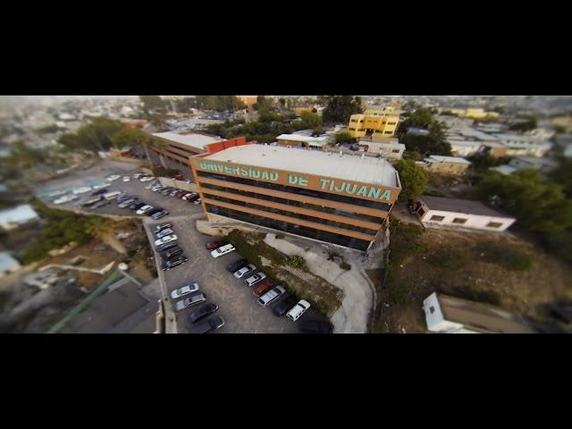 University of Tijuana видео №1