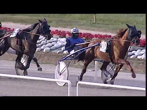 Napoli Trotto 13/01/2023 - 4ª corsa