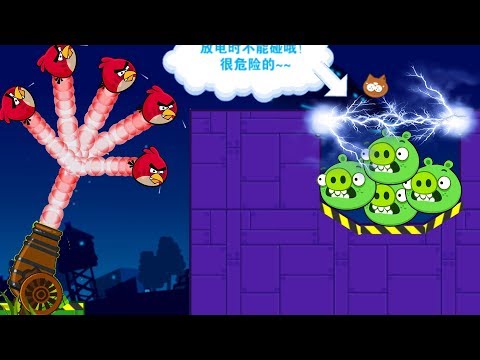 Angry Birds Cannon Birds 4 - HIT THE PIGGIES TO RESCUE ALL BIRDS COLLECTION!