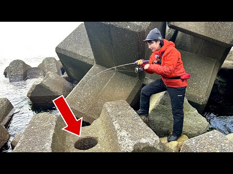 There Must be Something Inside This Hole in the Wave-breaking Block in Mie, Japan!!