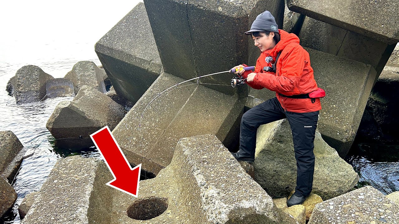 消波ブロックの「この穴」・・・絶対いる！！