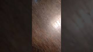 Download lagu Anak kecil main HP Nokia lucu mp3