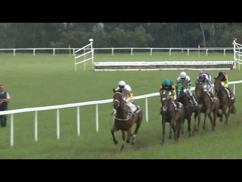 MI, 17. 7. 2016, 6. dostih - Cena společnosti CHARVÁT GROUP s.r.o.