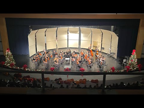 LSW Chamber Orchestra