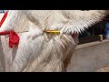 Step 5 How To Solve Prolapse