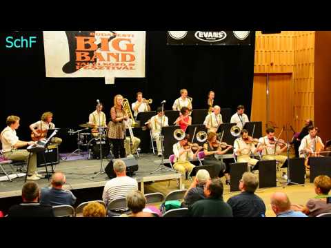 HarmCore Jazz Band - 04 - Chtěl bych mít kapelu ze samých pozounů