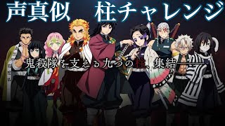【声真似】TikTokで話題の柱チャレンジに挑戦させていただきました！【鬼滅の刃】