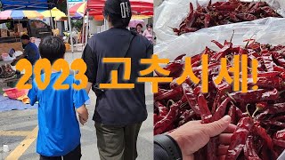 청도장날 2023고추시세를  한번 물어 봤습니다