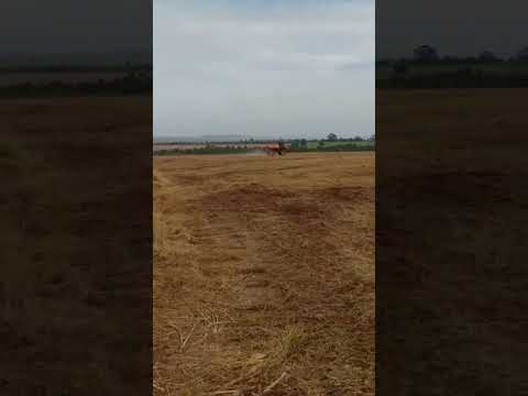 Combate Lagarta cosmioides na soja #shortsfeed #lagarta #cosmioide #soja #combate #shorts #agro