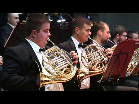 Johann Strauss - Annen Polka