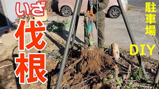 【DIY】 駐車場拡張計画 その③　DAY5～DAY7 [いざ伐根] チェーンブロック伐根 / 根っこ処理 〔パンダ３のDIY日記 #3 〕