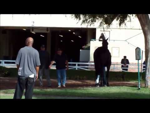 Eblouissante   WE LOVE YOU GIRL!!!