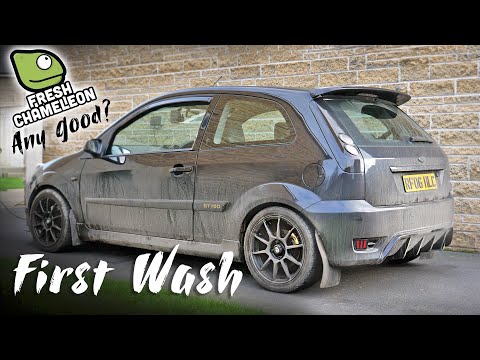 First Wash of the Year / Are Fresh Cameleon Products Any Good?