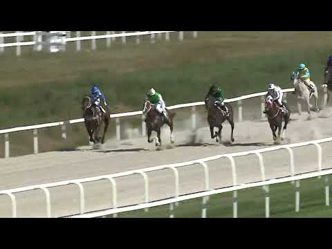 2023.09.10. 3. Futam - APPLE STAR HENDIKEP (V.o.) (szintetikus pálya)