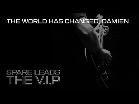 THE V.I.P™ - THE WORLD HAS CHANGED, DAMIEN © 2020 THE V.I.P™