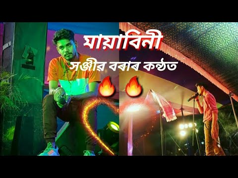 Mayabini//sanjib borah// @DhananjayboraMusical #zubeen_garg#new#viral#viralvideo#shortsfeed#shorts
