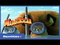 Official Teaser Trailer