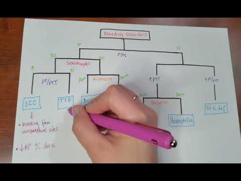 Bleeding disorders algorithm [USMLE]