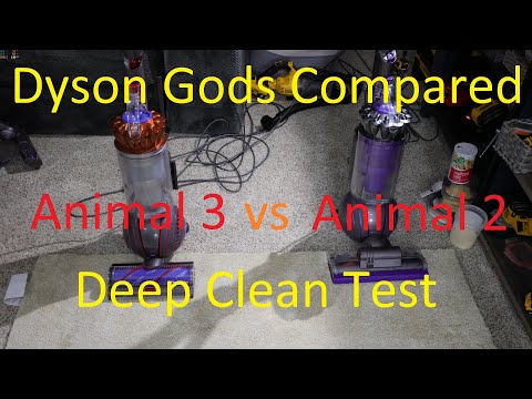 Dyson Animal 3 vs Dyson Animal 2 Deep Clean Test!