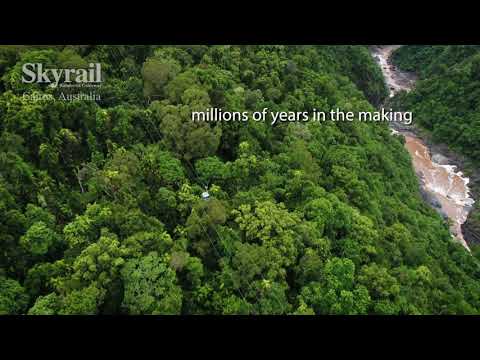 Skyrail Rainforest Cableway