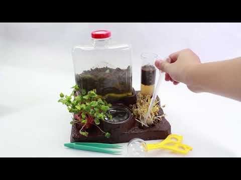 My first Backyard Adventure