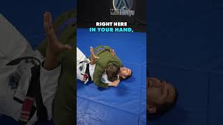 Moves you SHOULD have learned as a #whitebelt