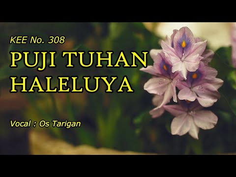 Puji Tuhan Haleluya (KEE 308) - Sora Cio
