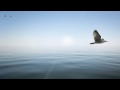 Simona Barbieri - Our life is gonna change 