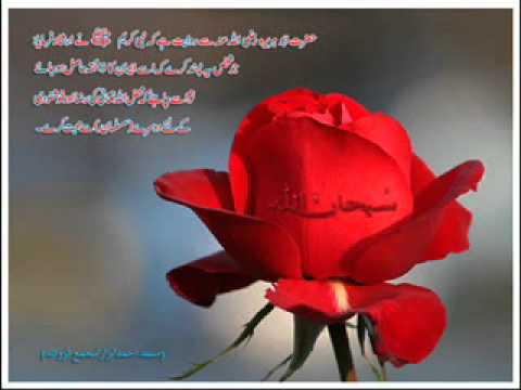 do din d aye zindgani tay sada rahna naam