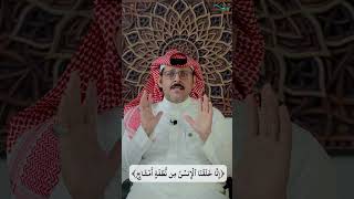 مسائل نافع بن الأزرق لابن عباس: معنى (إنَّا خلقنا الإنسان من نطفةٍ أمشاج) image