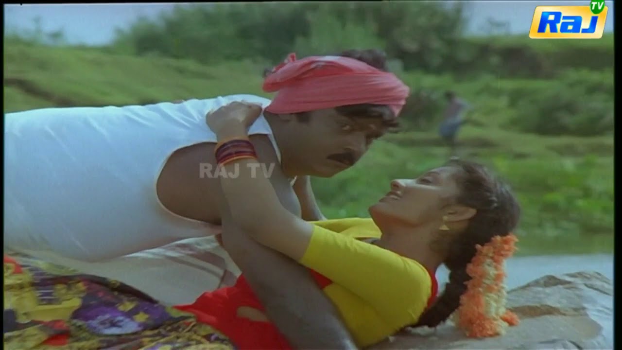 Sola Kiligal Song Lyrics | Koyil Kaalai