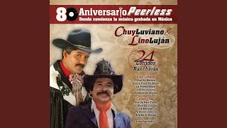 Abrazado de un poste