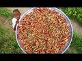 Chicken 555 Recipe Dragon Chicken Restaurant Style Traditional Chicken Snacks By Grandpa