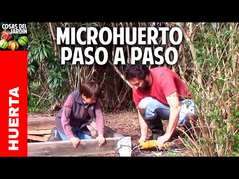 Huerto urbano de 1 m2 paso a paso: fácil, económico y bien explicado