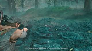 NERO Mass Grave - Days Gone