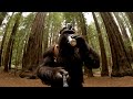 Bigfoot Energy Drink Crash Out At Redwood National Park
