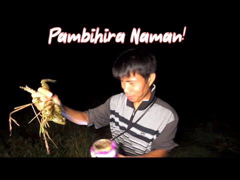 Panghuhuli ng palaka (edible frog) | Episode 28
